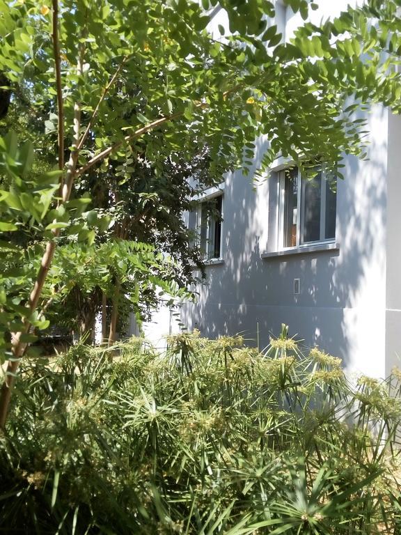 Grand Studio Proche Transport Montpellier Exterior foto